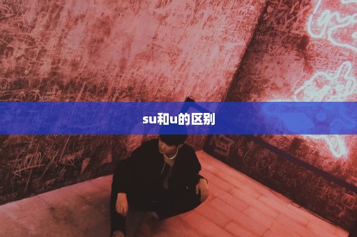 su和u的区别
