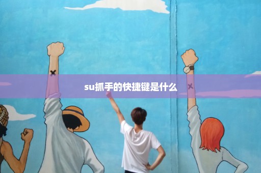 su抓手的快捷键是什么