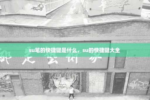 su笔的快捷键是什么，su的快捷键大全 