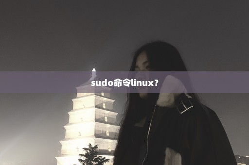 sudo命令linux？