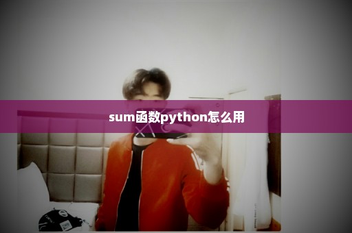 sum函数python怎么用