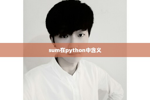 sum在python中含义