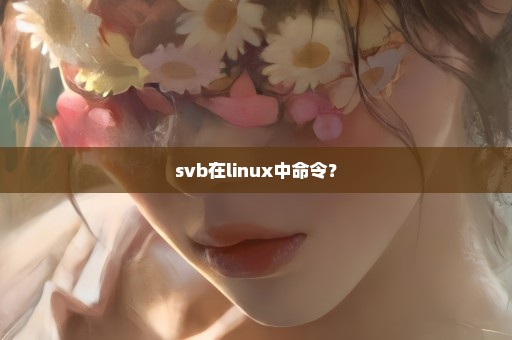 svb在linux中命令？