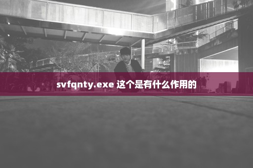 svfqnty.exe 这个是有什么作用的