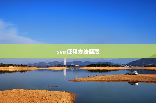 svn使用方法疑惑