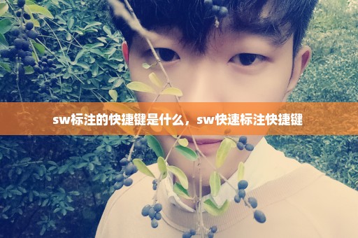 sw标注的快捷键是什么，sw快速标注快捷键 
