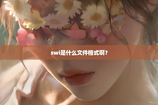 swi是什么文件格式啊？