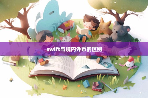 swift与境内外币的区别