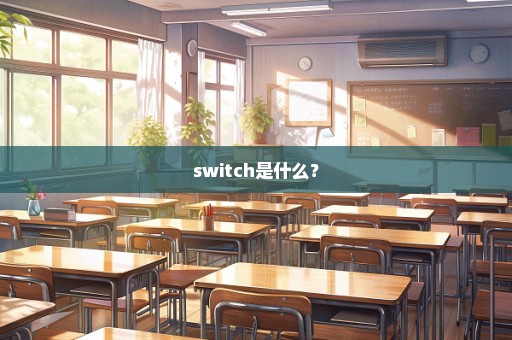 switch是什么？