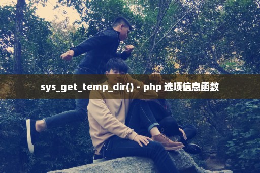 sys_get_temp_dir() - php 选项信息函数