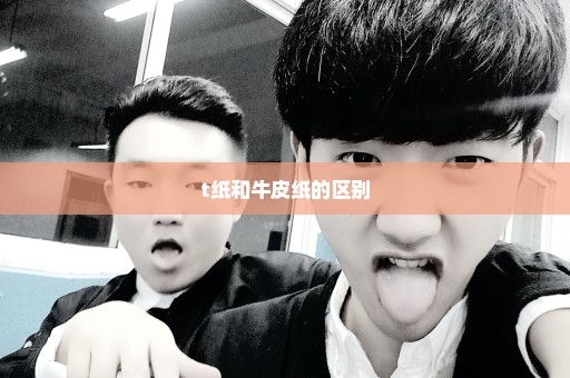 t纸和牛皮纸的区别