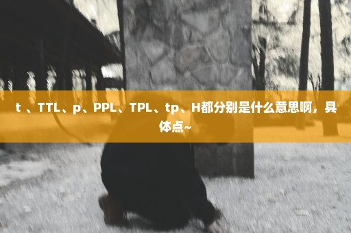 t 、TTL、p、PPL、TPL、tp、H都分别是什么意思啊，具体点~