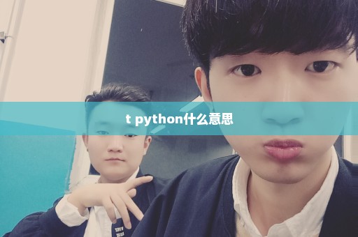 t python什么意思