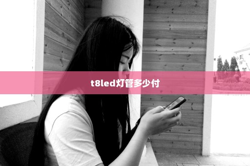t8led灯管多少付