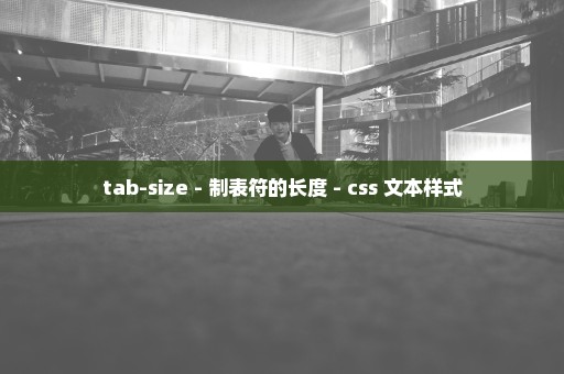 tab-size - 制表符的长度 - css 文本样式