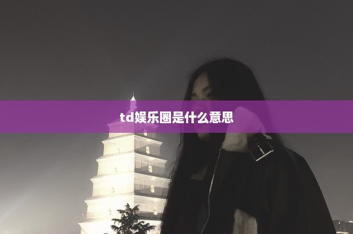 td娱乐圈是什么意思