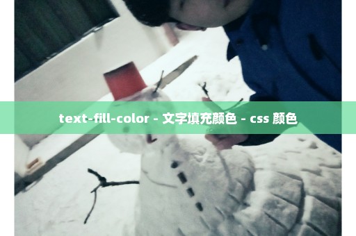 text-fill-color - 文字填充颜色 - css 颜色