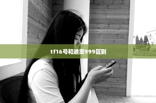 tf16号和迪奥999区别