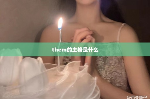 them的主格是什么
