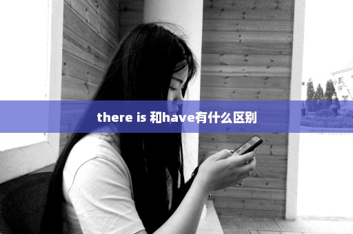 there is 和have有什么区别