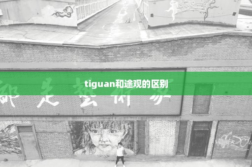 tiguan和途观的区别