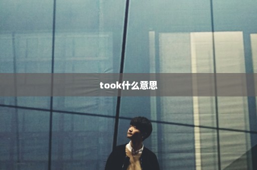 took什么意思