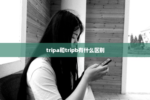 tripa和tripb有什么区别
