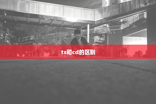 ts和cd的区别