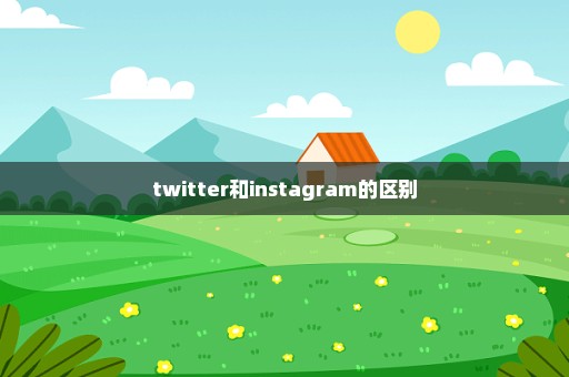 twitter和instagram的区别