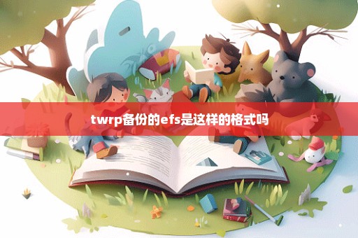 twrp备份的efs是这样的格式吗