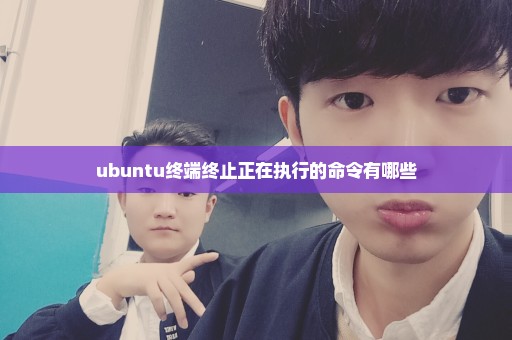 ubuntu终端终止正在执行的命令有哪些