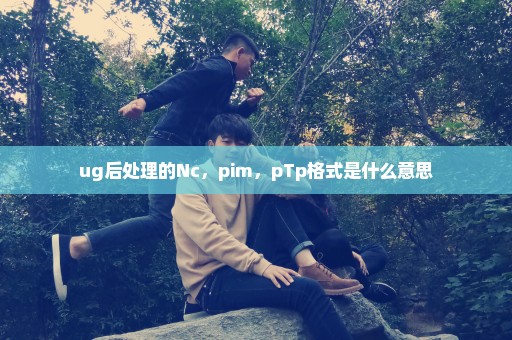 ug后处理的Nc，pim，pTp格式是什么意思