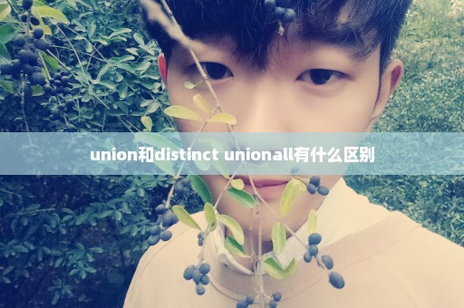 union和distinct+unionall有什么区别