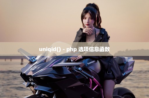 uniqid() - php 选项信息函数