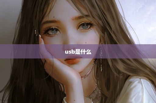 usb是什么