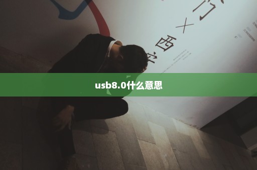 usb8.0什么意思