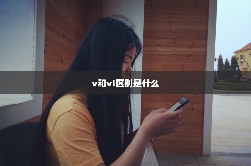 v和vl区别是什么