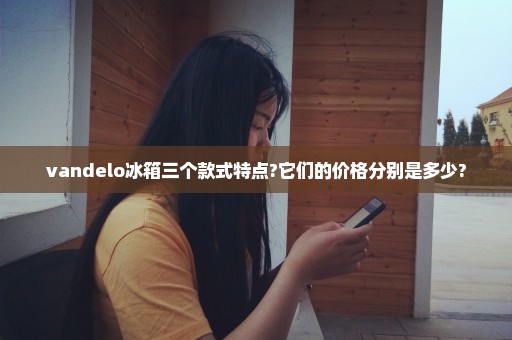 vandelo冰箱三个款式特点?它们的价格分别是多少?