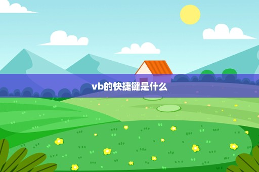 vb的快捷键是什么