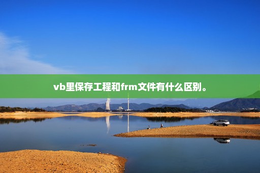 vb里保存工程和frm文件有什么区别。