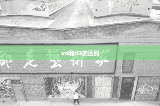vd和d3的区别