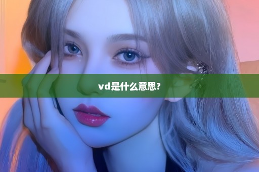 vd是什么意思?