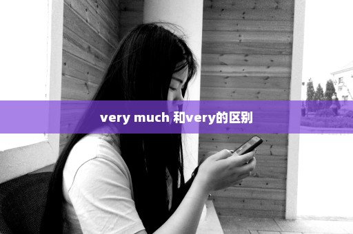 very much 和very的区别