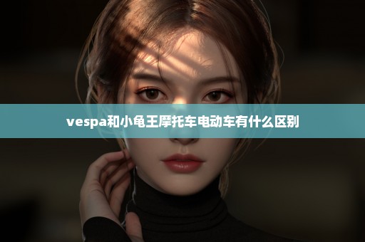 vespa和小龟王摩托车电动车有什么区别