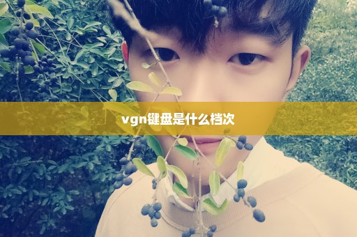vgn键盘是什么档次