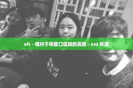 vh - 相对于视窗口区域的高度 - css 长度