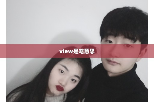 view是啥意思