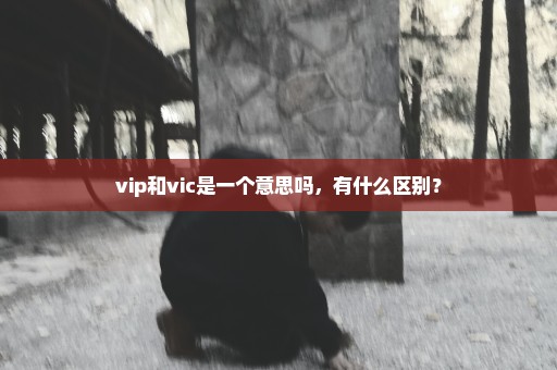 vip和vic是一个意思吗，有什么区别？