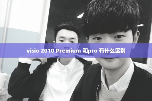 visio 2010 Premium 和pro 有什么区别