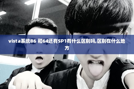 vista系统86 和64还有SP1有什么区别吗,区别在什么地方